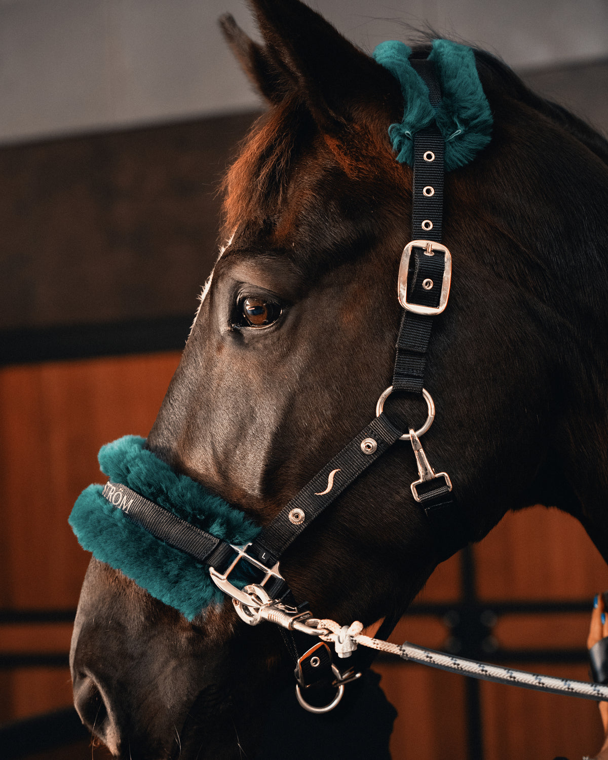 Ström Switch headcollar in Forest green sheepskin, alternate view
