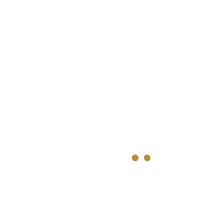 The Ström Switch – Ström Equestrian